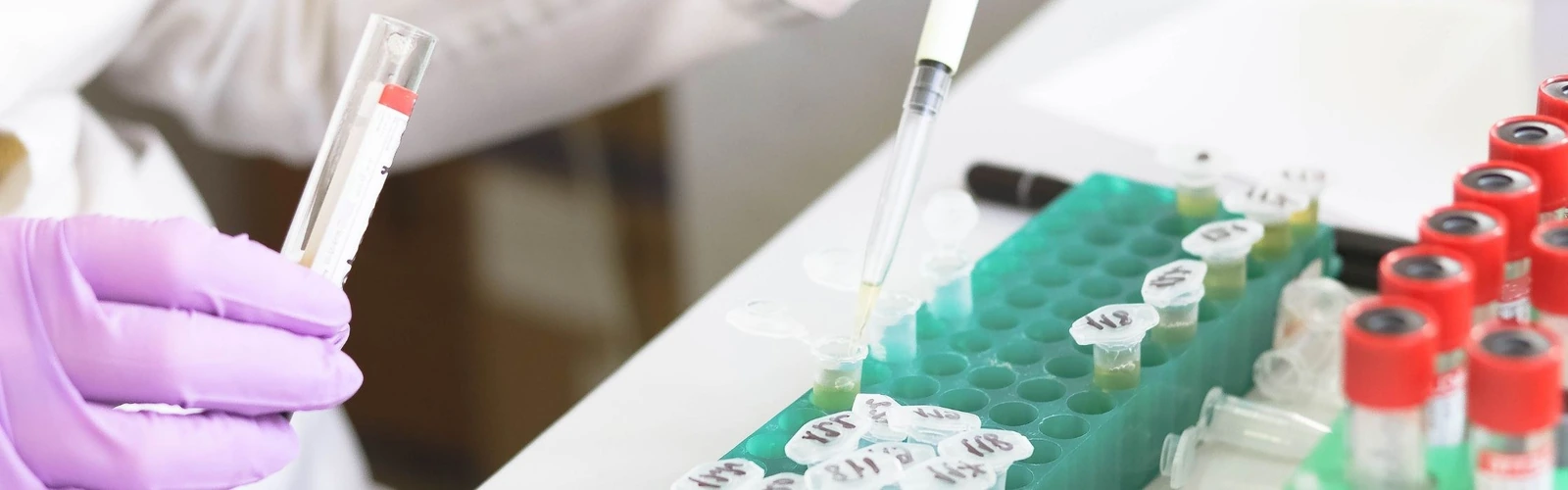 Drug Prescription Software Design to Reduce Medical Errors
