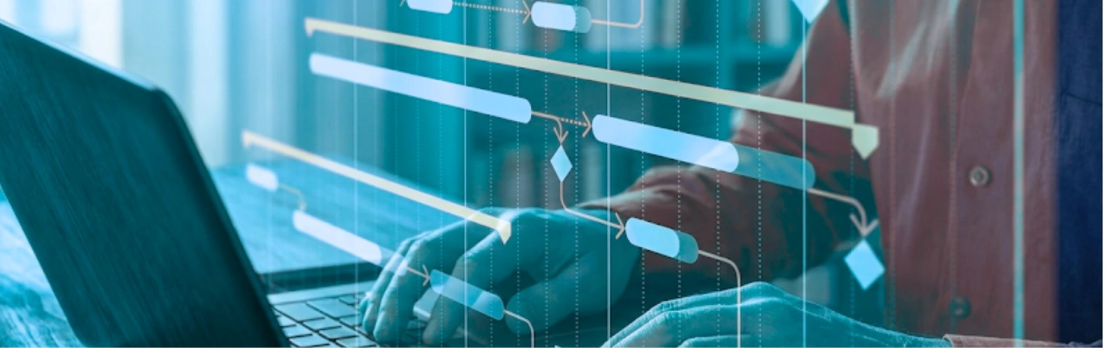 Support and Cost-Efficient Enhancement of Project Management Software